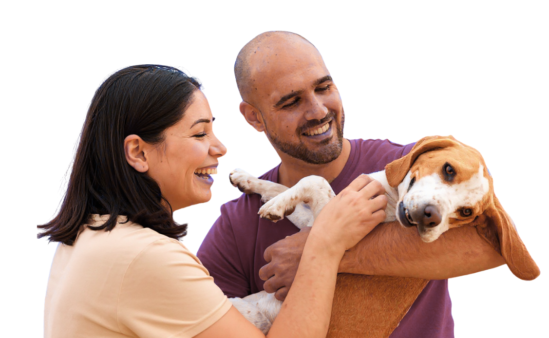 Happy adopters using HomeWagger