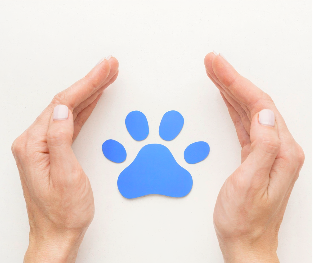 Pro badge illustration