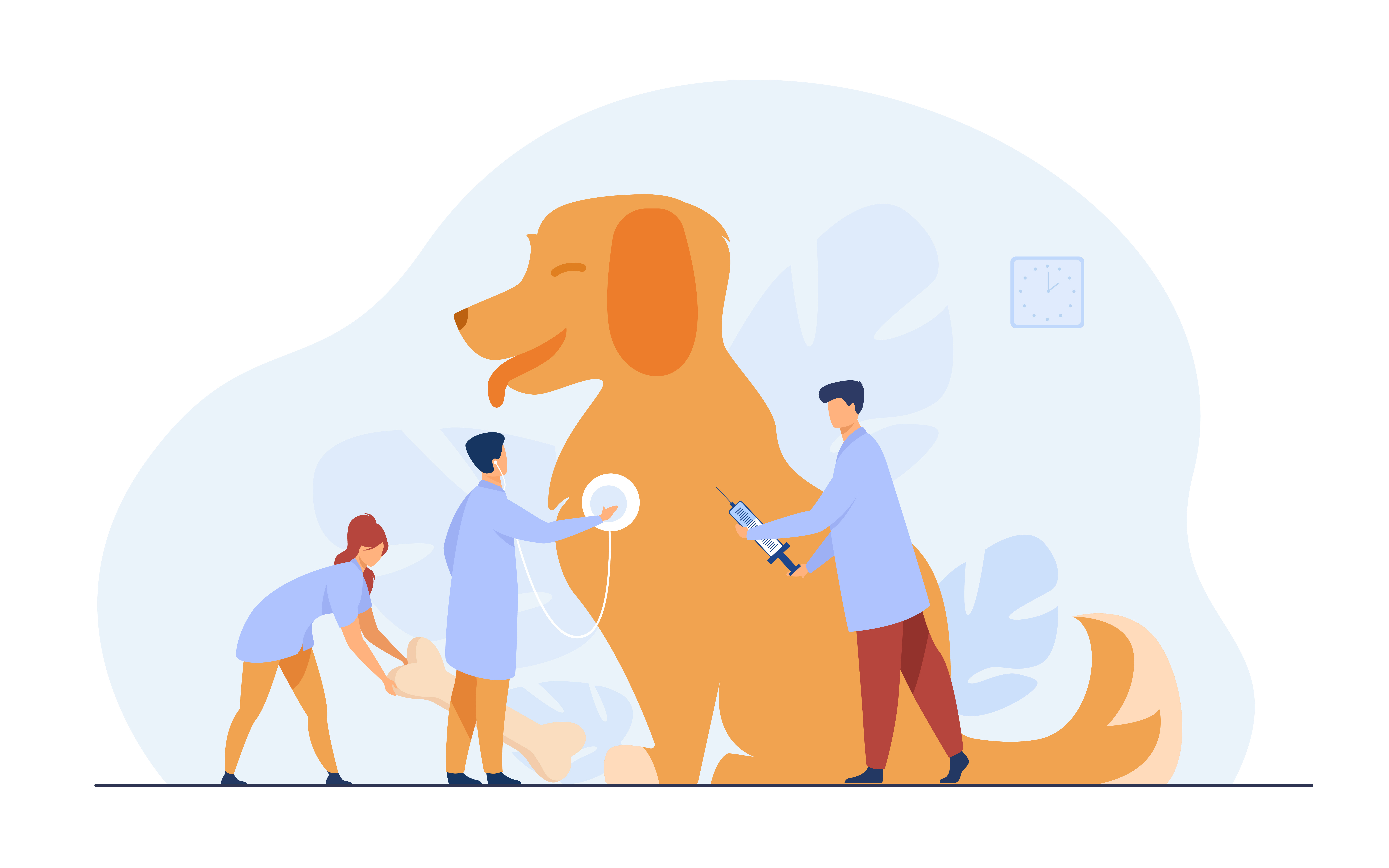 Documentation and proof illustration