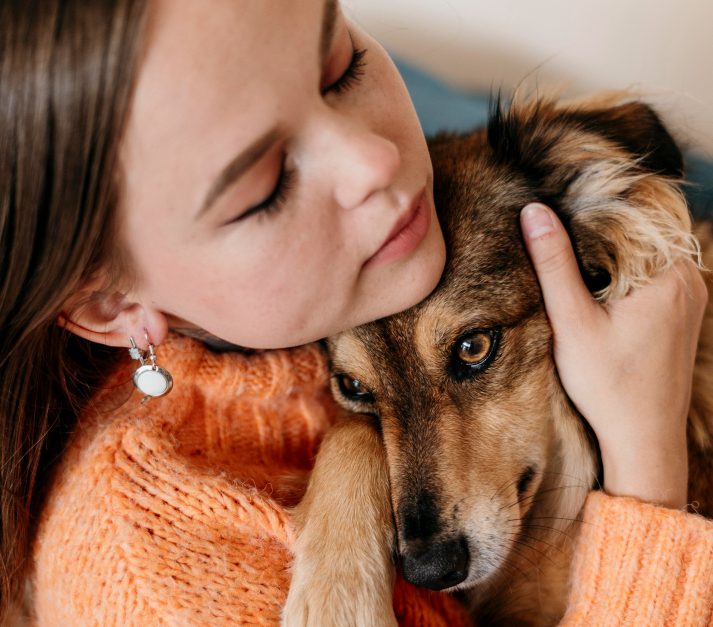 Dog resting calmly on a sofa, representing compassionate, welfare-first rehoming